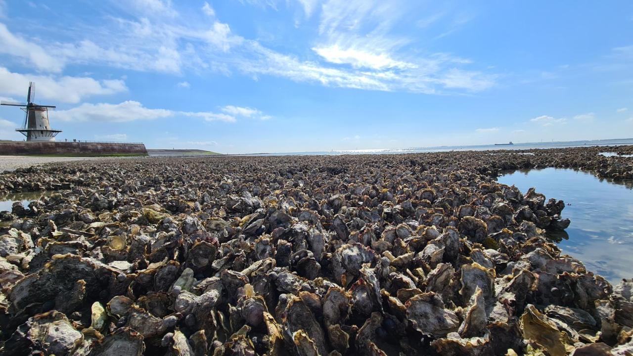 Rijksmonument Havenzicht, Met Zeezicht, Ligging Direct Aan Zee En Centrum Vlissingen Bagian luar foto